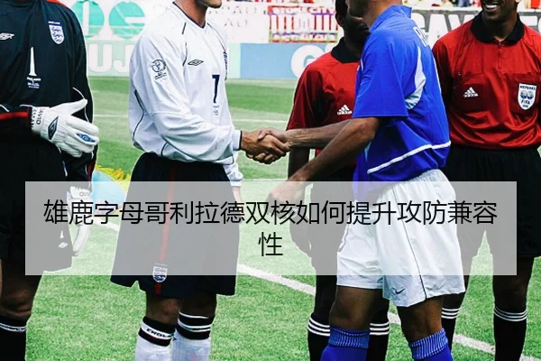 雄鹿字母哥利拉德双核如何提升攻防兼容性